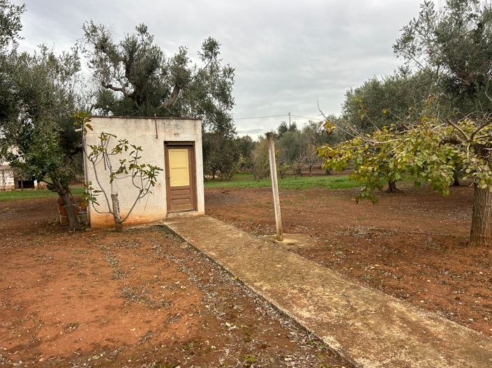 Image No.5-Propriété de 2 chambres à vendre à San Vito dei Normanni