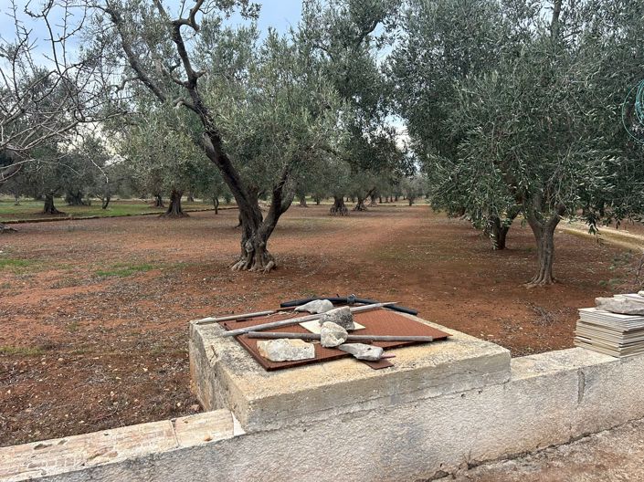 Image No.6-Propriété de 2 chambres à vendre à San Vito dei Normanni