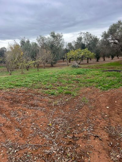 Image No.8-Propriété de 2 chambres à vendre à San Vito dei Normanni