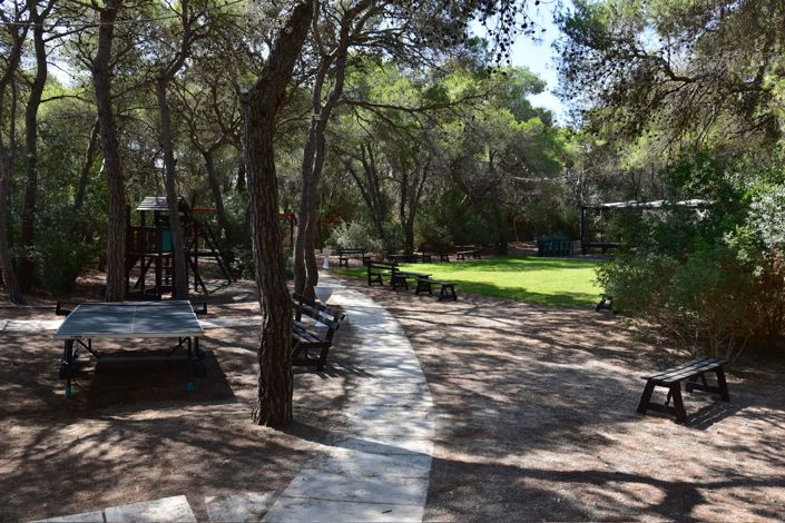 Image No.29-Propriété de 4 chambres à vendre à Castellaneta