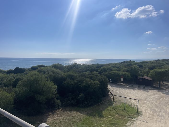 Image No.31-Propriété de 4 chambres à vendre à Castellaneta