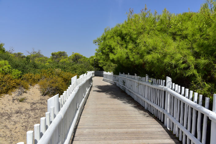 Image No.32-Propriété de 4 chambres à vendre à Castellaneta