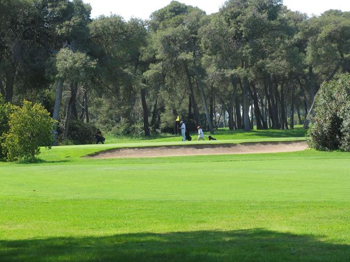 Image No.37-Propriété de 4 chambres à vendre à Castellaneta