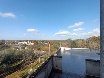 img20241128120510-copy