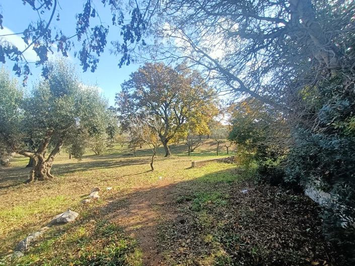 Image No.27-3 Bed Villa for sale