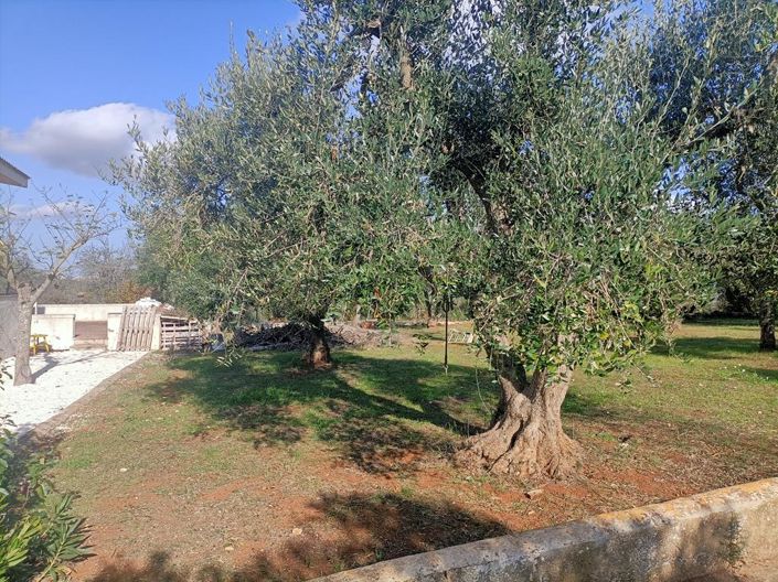 Image No.6-3 Bed Villa for sale