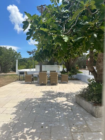 Image No.16-Ferme de 2 chambres à vendre à Ostuni