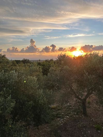 Image No.20-Ferme de 2 chambres à vendre à Ostuni
