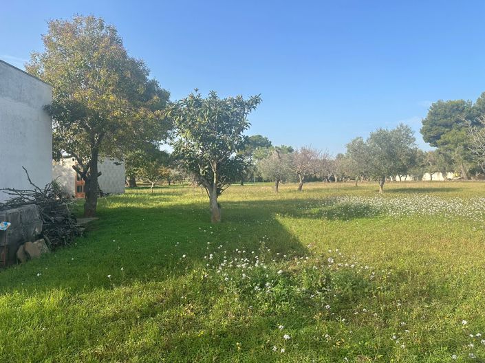 Image No.5-Propriété de 2 chambres à vendre à San Vito dei Normanni