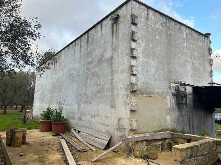 Image No.3-Propriété de 2 chambres à vendre à San Michele Salentino