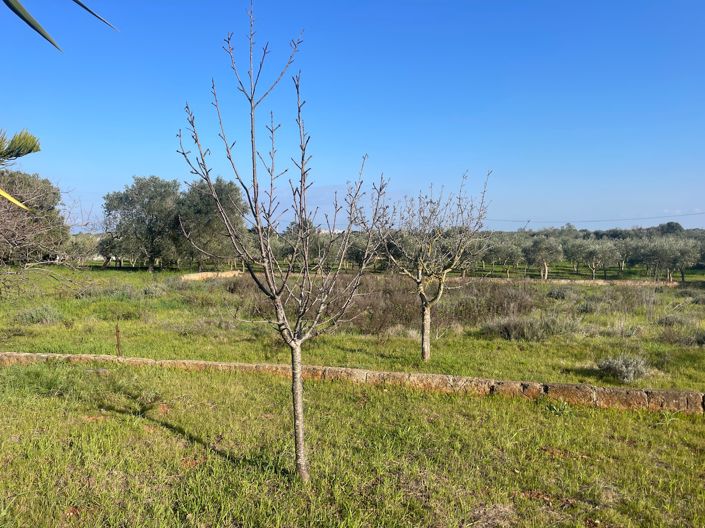 Image No.34-2 Bed Property for sale