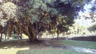 14-d70dc3102c00d7be0e872dfe1c1f86d7