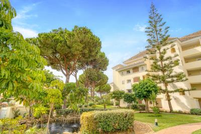 12-9d2414e6554ff283a7dbb3894364f2bd