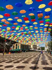 3-e898b2bb2a2fdfd06d2c39894dce8316