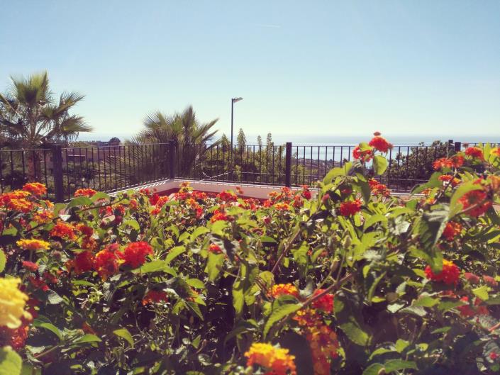 Image No.49-4 Bed Townhouse for sale