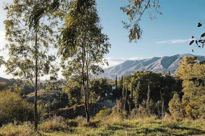 Image No.15-2 Bed Apartment for sale