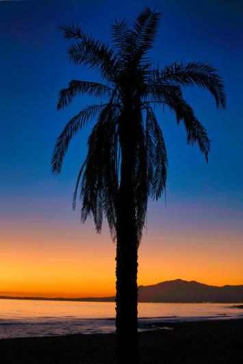 Image No.25-2 Bed Apartment for sale