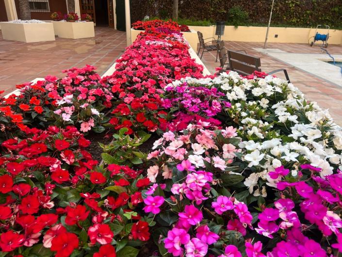 Image No.36-3 Bed Apartment for sale