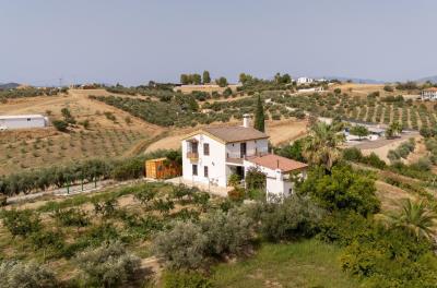 4-498bdfab4a7fcf25df40c2176acd63a0