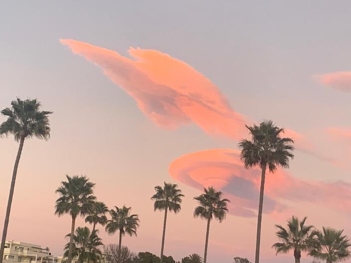 Image No.22-Appartement de 3 chambres à vendre à Selwo