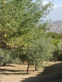 2-5bd7b9d04b45e33852eaf0ec6670150d