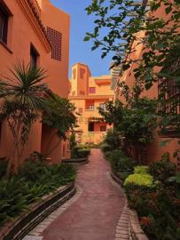 26-5d8d79970826a9dedda56d1963bd89bb