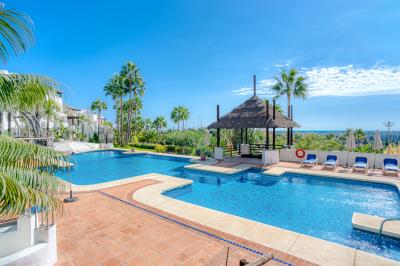 1-7980e48d732b6fc85c14b43b94d2aa54