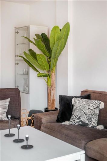 Image No.7-Appartement de 3 chambres à vendre à Marbella