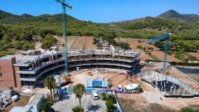 ORQ-PHOTO-2025-08-11-15-34-53