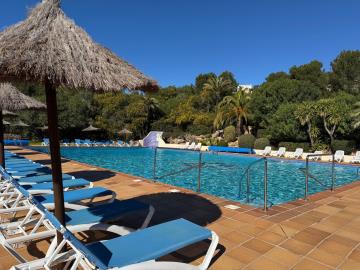 fa50b7d3-d2cb-4ca9-93e6-d5aeff4cd333