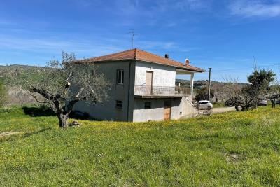 987_0804202219363161