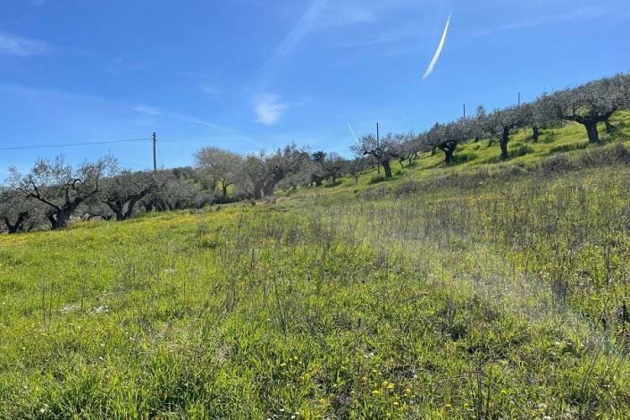 Image No.15-3 Bed Country House for sale