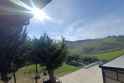 1107_24022024184245391