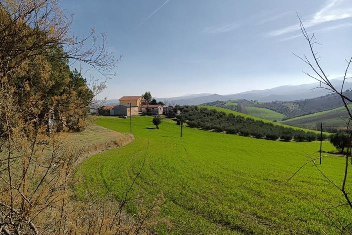 Image No.53-5 Bed Farmhouse for sale