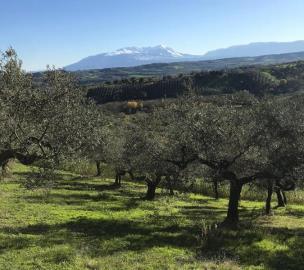 1034_0901202316344814