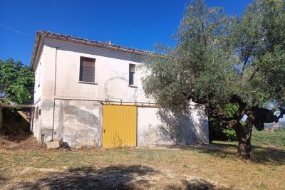 1112_20032024095118400