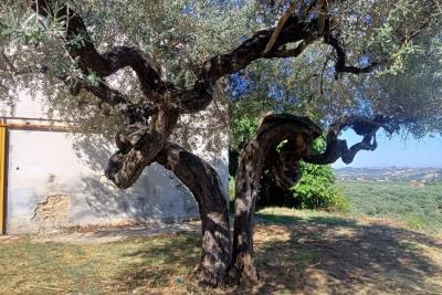 1112_20032024095118401