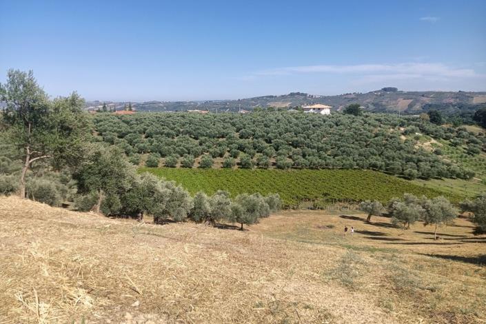 Image No.12-5 Bed Farmhouse for sale