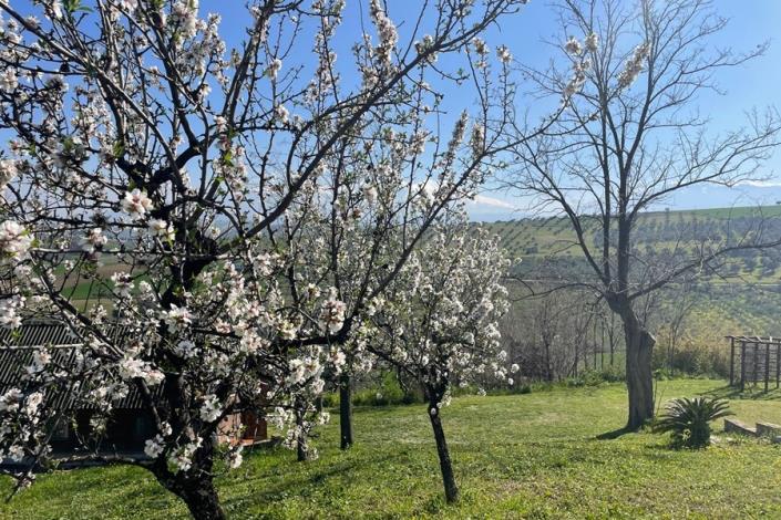Image No.13-Maison de campagne de 4 chambres à vendre à Cugnoli