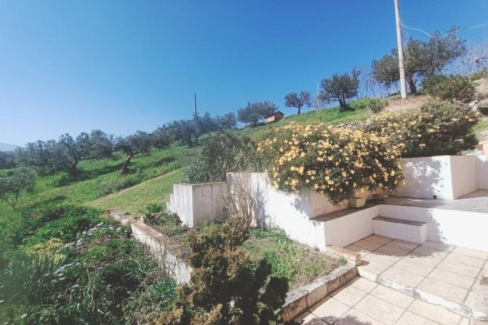 Image No.46-Maison de campagne de 4 chambres à vendre à Cugnoli