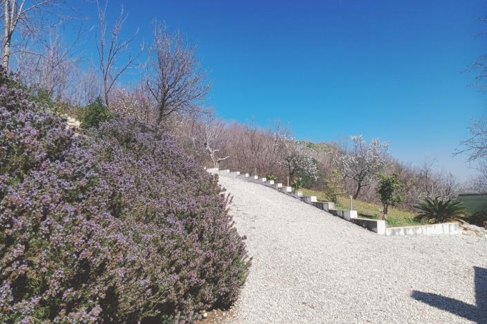 Image No.55-Maison de campagne de 4 chambres à vendre à Cugnoli