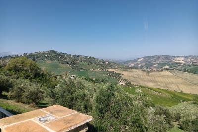 1208_10092025121639403