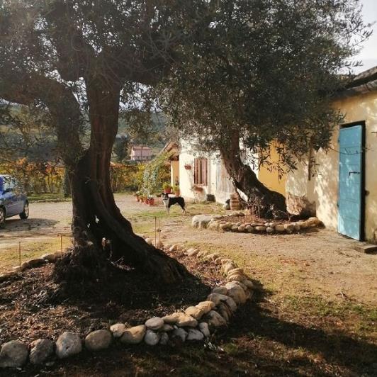 Image No.28-Maison de campagne de 2 chambres à vendre à Loreto Aprutino