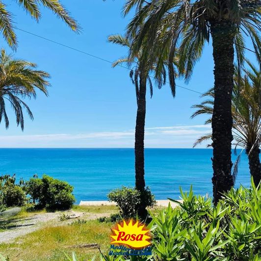 Image No.24-Chalet de 3 chambres à vendre à Torrevieja