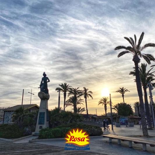 Image No.28-Propriété de 3 chambres à vendre à Torrevieja