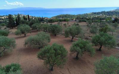 Trapezaki-Amazing-Sea-Views-Plot-12