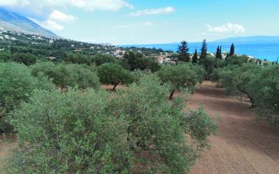 Trapezaki-Amazing-Sea-Views-Plot-14