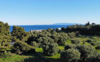 Pessada-Beach-Charming-Plot-11