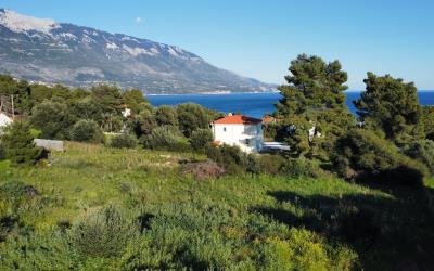 Pessada-Beach-Charming-Plot-12