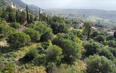 Atsoupades-Charming-Village-Plot-2